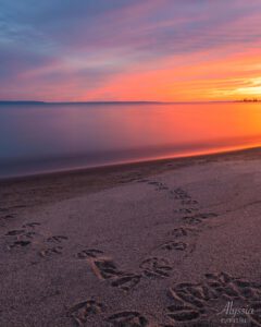 Sunset over the beach with duck foot prints in the sand.