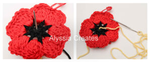 Poppy applique french knots